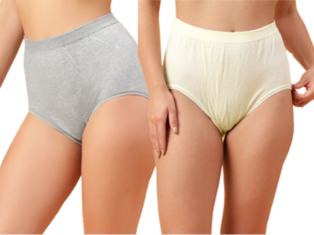 Grey nude colour combo maternity panty for women